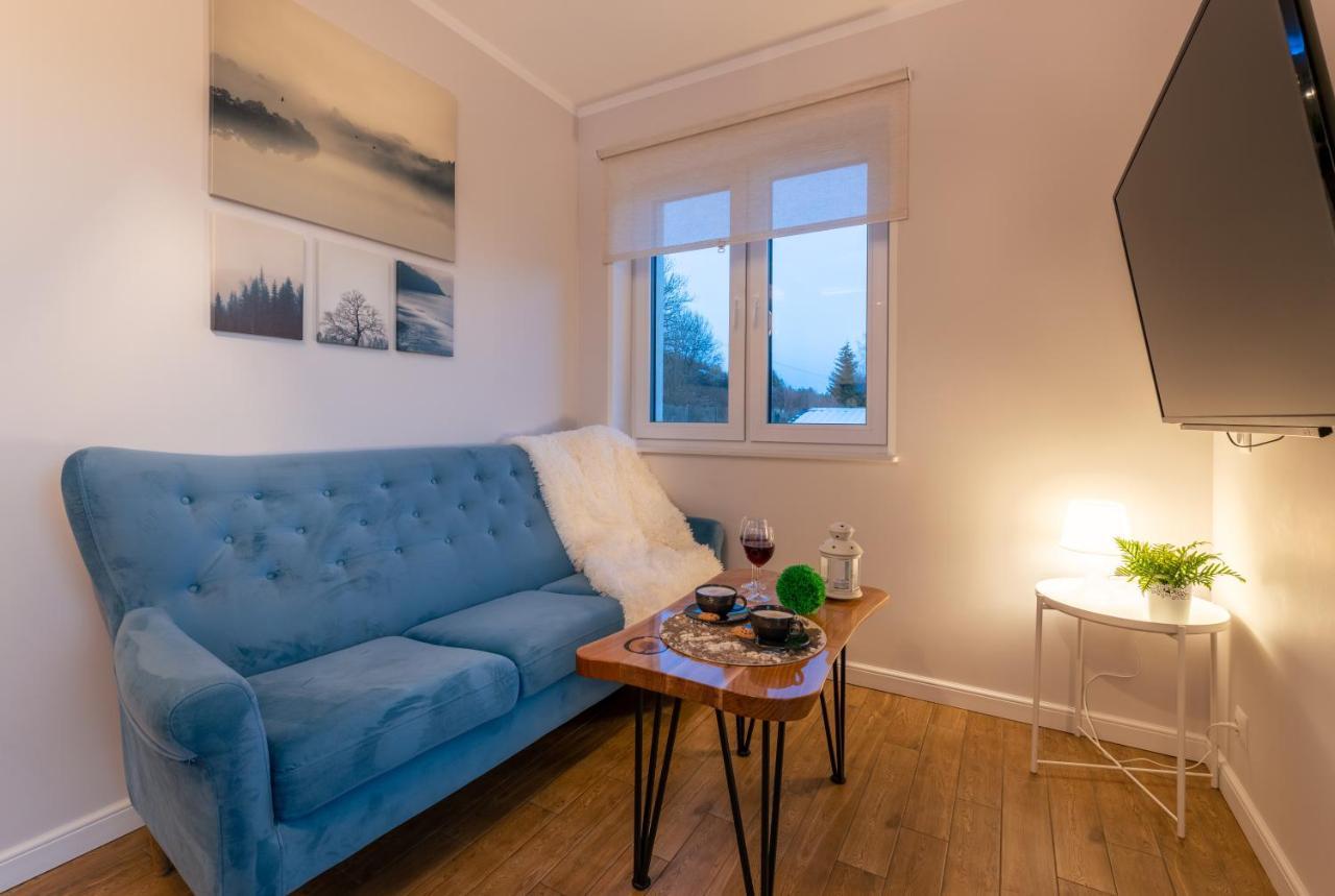 Villa Kasztelan Apartamenty Устрики-Долішні Екстер'єр фото