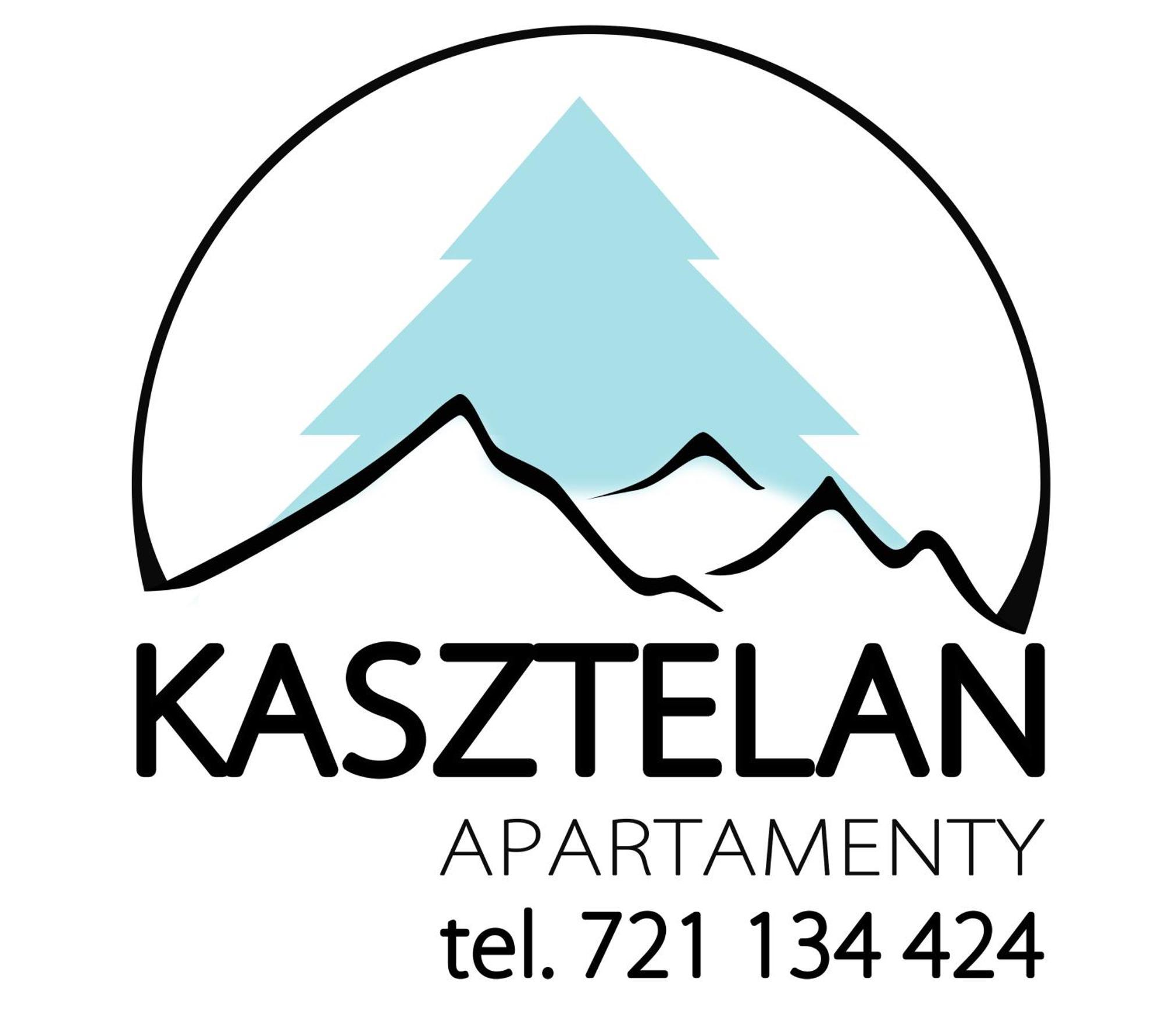 Villa Kasztelan Apartamenty Устрики-Долішні Екстер'єр фото